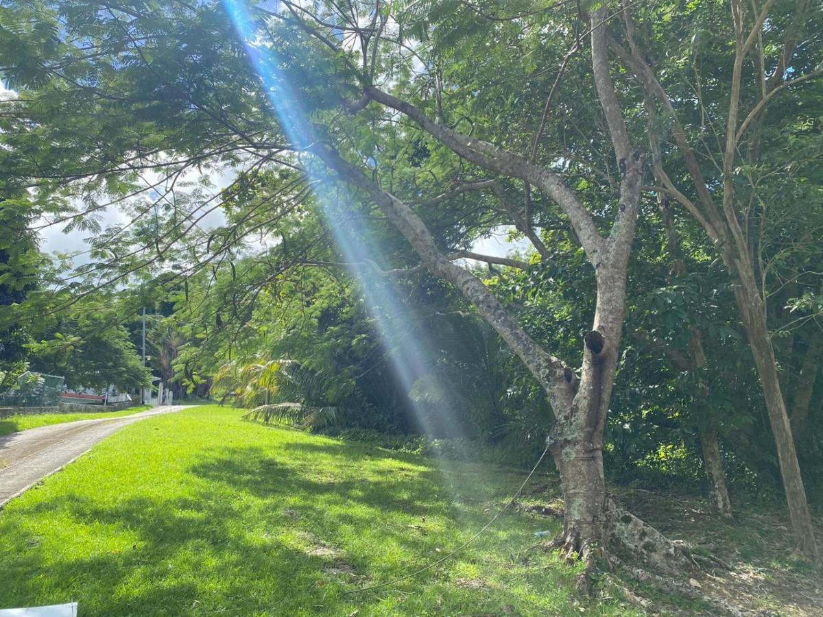 The Serene House Bed & Breakfast Luquillo Exterior photo