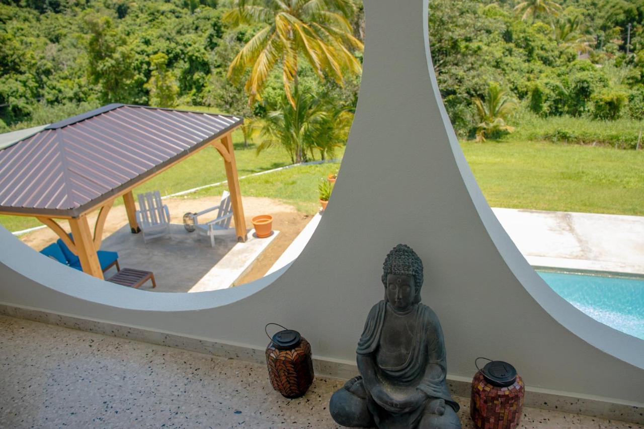 The Serene House Bed & Breakfast Luquillo Exterior photo