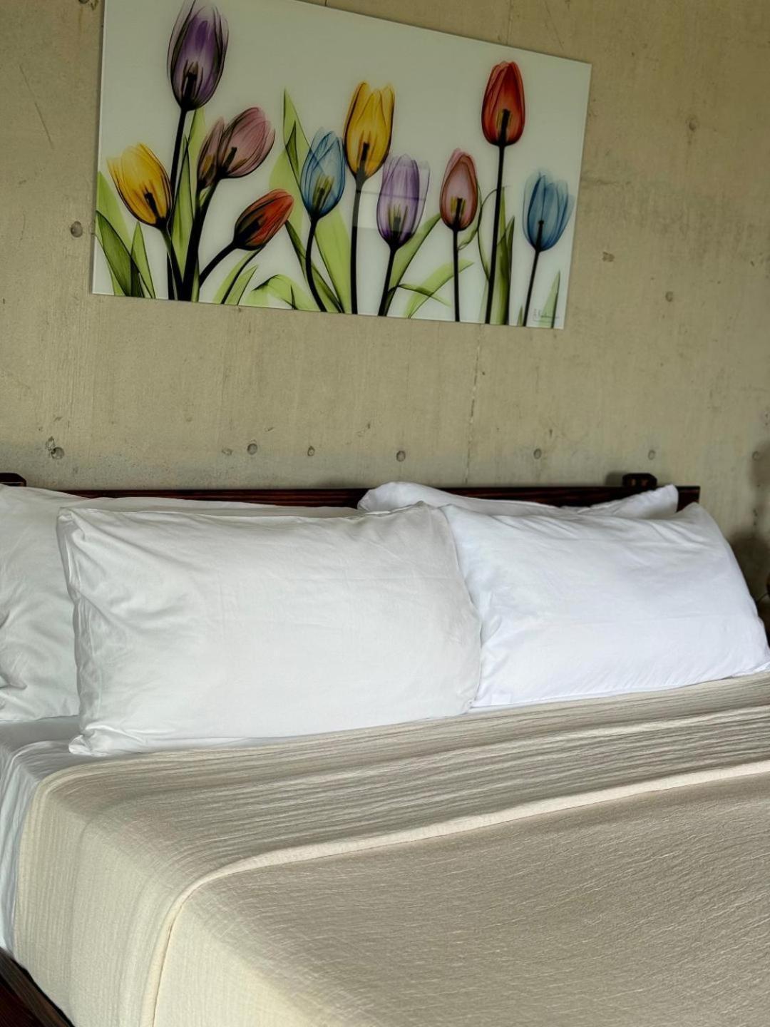 The Serene House Bed & Breakfast Luquillo Exterior photo