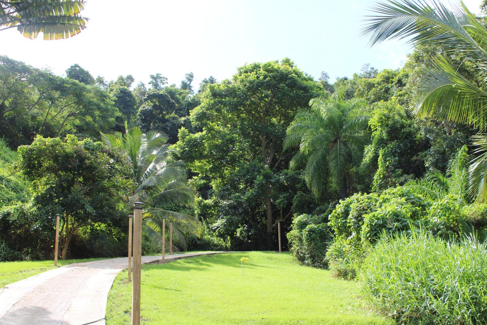 The Serene House Bed & Breakfast Luquillo Exterior photo