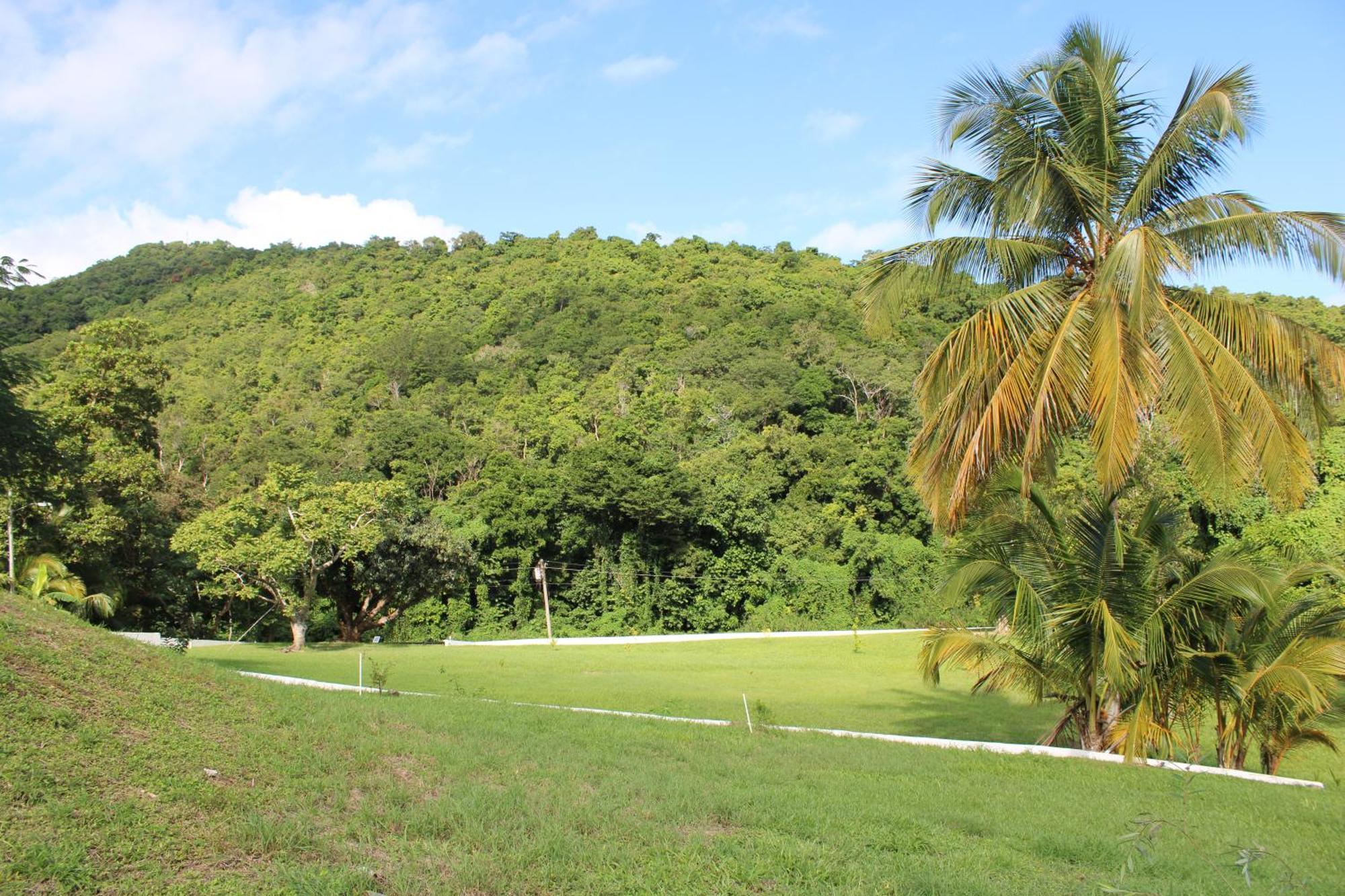 The Serene House Bed & Breakfast Luquillo Exterior photo