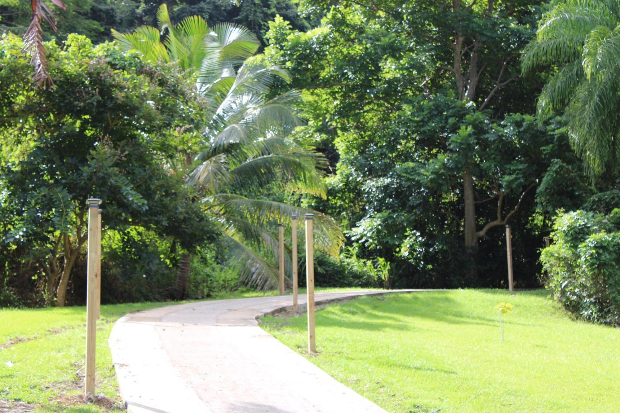 The Serene House Bed & Breakfast Luquillo Exterior photo