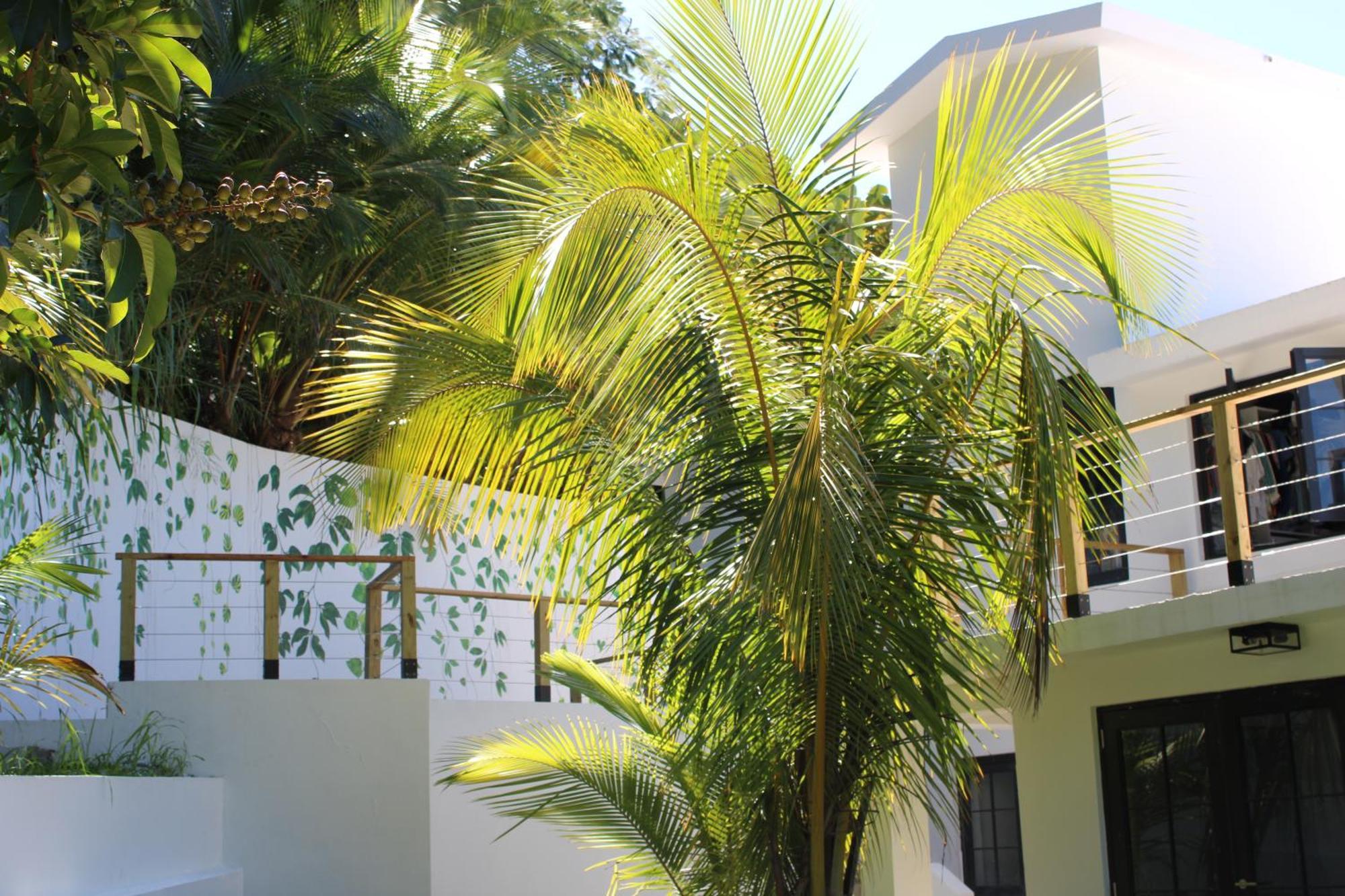 The Serene House Bed & Breakfast Luquillo Exterior photo