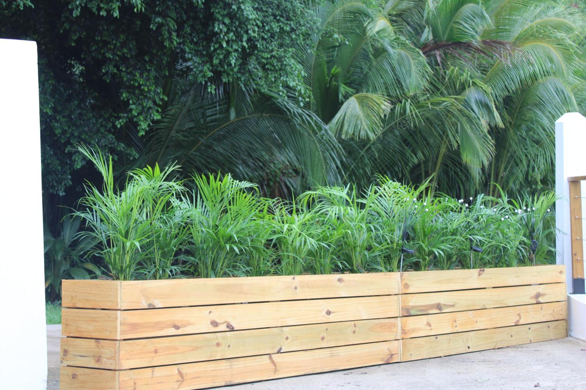 The Serene House Bed & Breakfast Luquillo Exterior photo